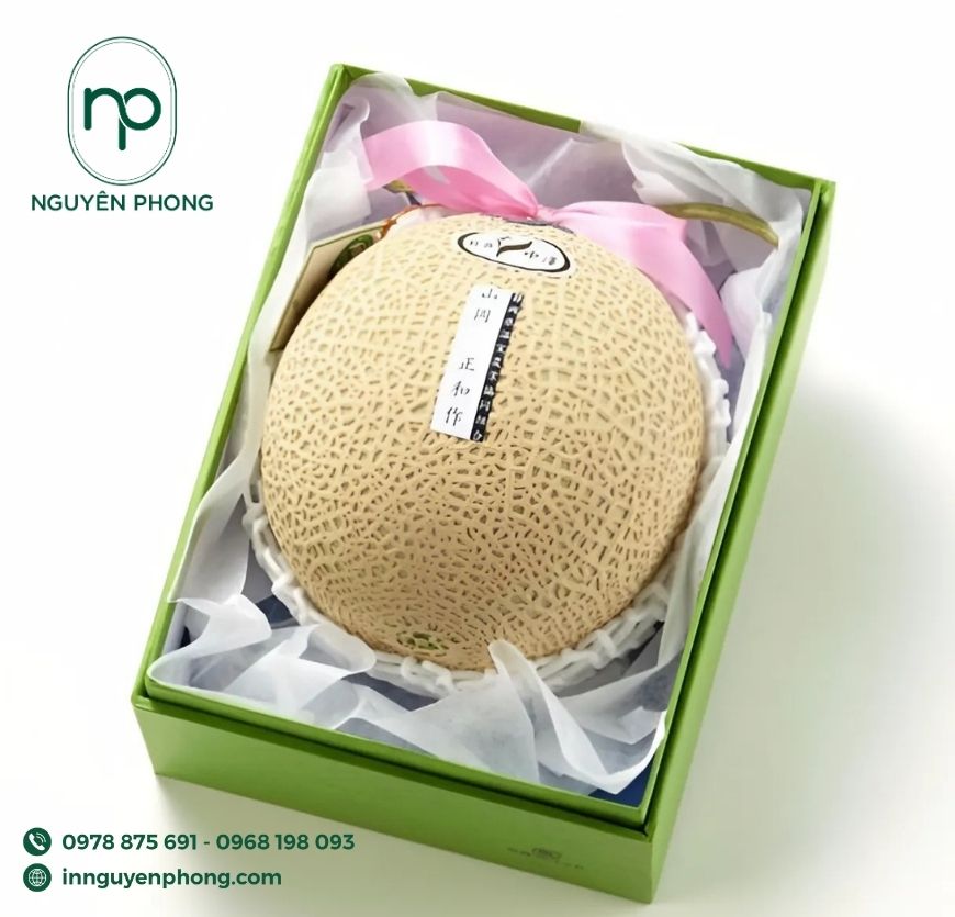 mau-hop-giay-carton-lanh-dung-dua-luoi